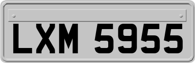 LXM5955