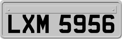 LXM5956