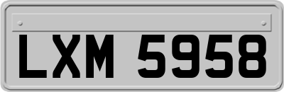 LXM5958
