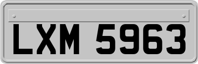 LXM5963
