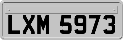 LXM5973