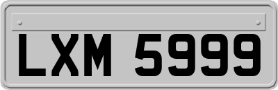 LXM5999
