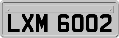 LXM6002