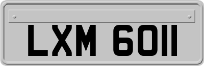 LXM6011