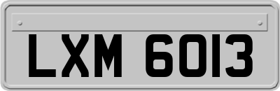 LXM6013