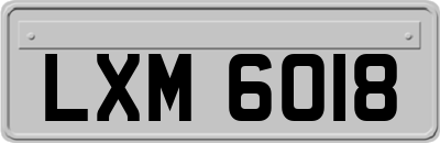 LXM6018