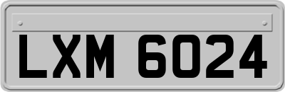 LXM6024