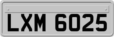LXM6025