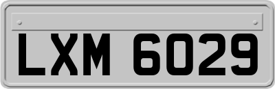 LXM6029