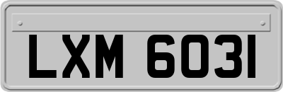 LXM6031