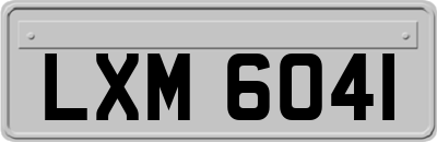 LXM6041