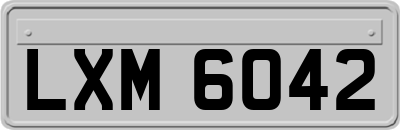 LXM6042