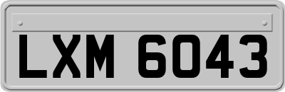 LXM6043