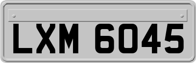 LXM6045