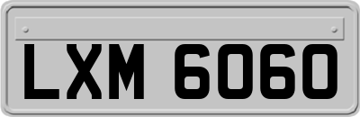 LXM6060