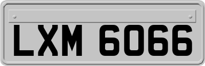 LXM6066
