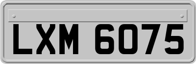 LXM6075