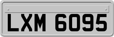 LXM6095