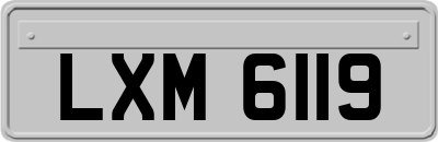 LXM6119