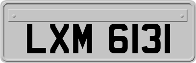 LXM6131