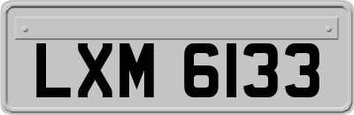LXM6133