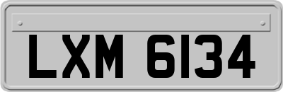 LXM6134