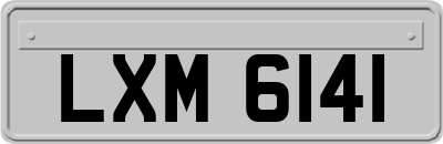 LXM6141