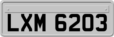 LXM6203