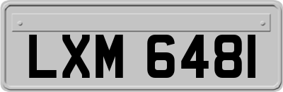 LXM6481