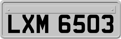LXM6503