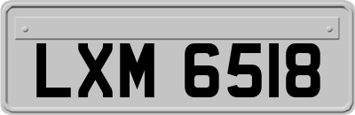 LXM6518
