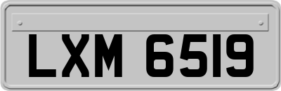 LXM6519