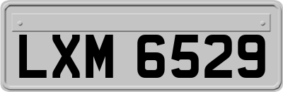 LXM6529
