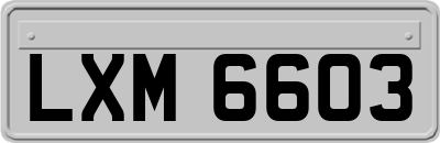 LXM6603