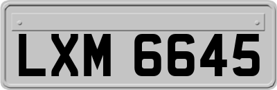 LXM6645