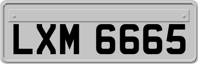 LXM6665