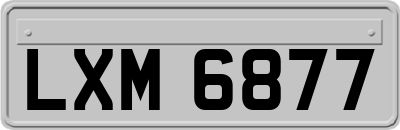 LXM6877