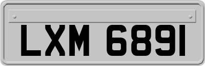 LXM6891