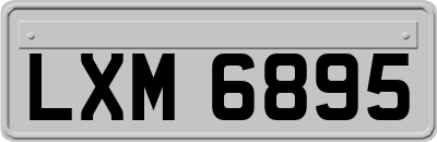 LXM6895