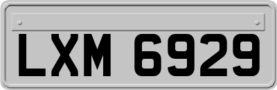 LXM6929