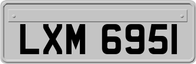 LXM6951