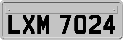 LXM7024
