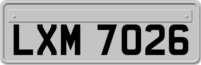 LXM7026