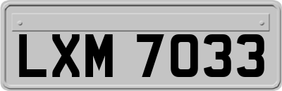 LXM7033