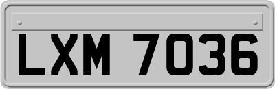 LXM7036