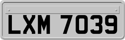LXM7039