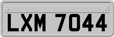LXM7044
