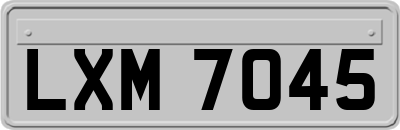 LXM7045