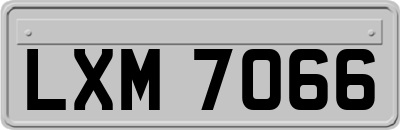 LXM7066
