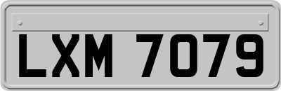LXM7079
